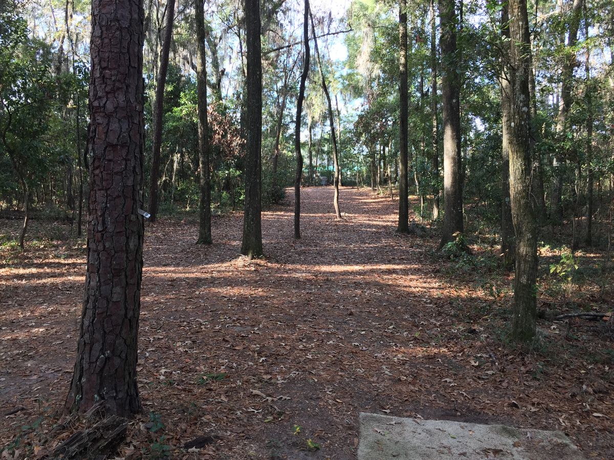 Hole 2