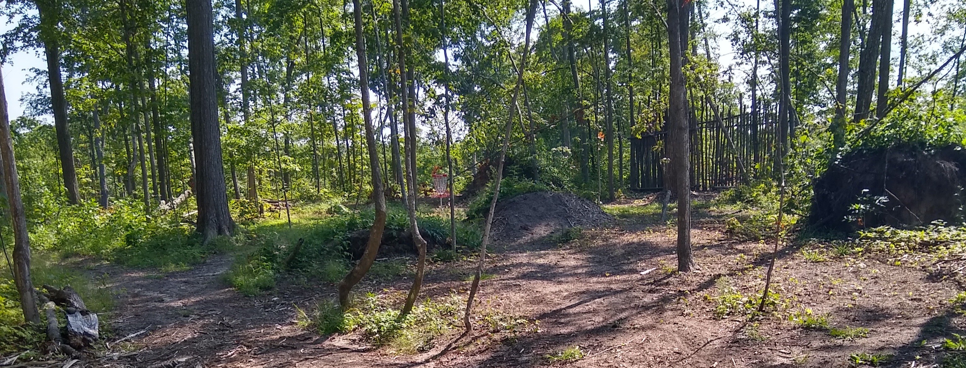 RCDG Early Bird Wednesday