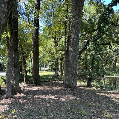 Hole 8s new pin position, really guarded this one.