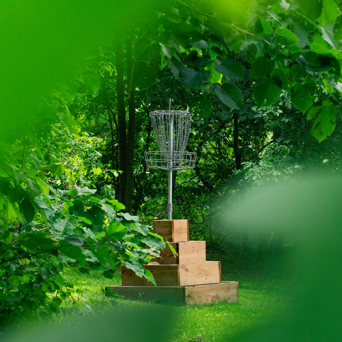 Hole 7 & 8 features an elevated basket