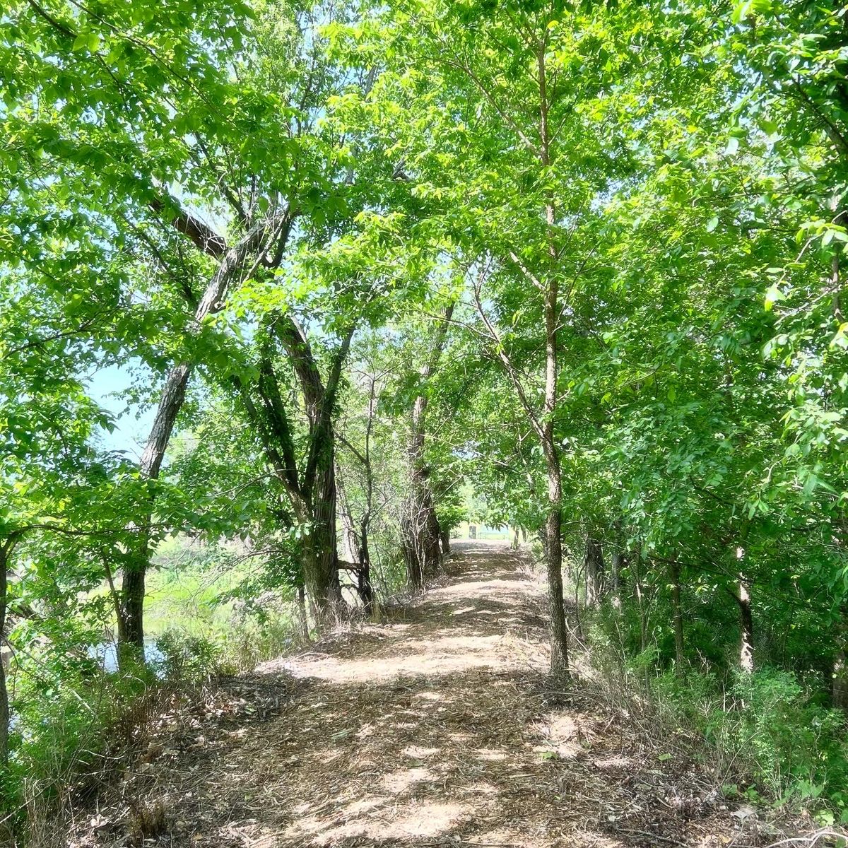 Trail between 7 & 8