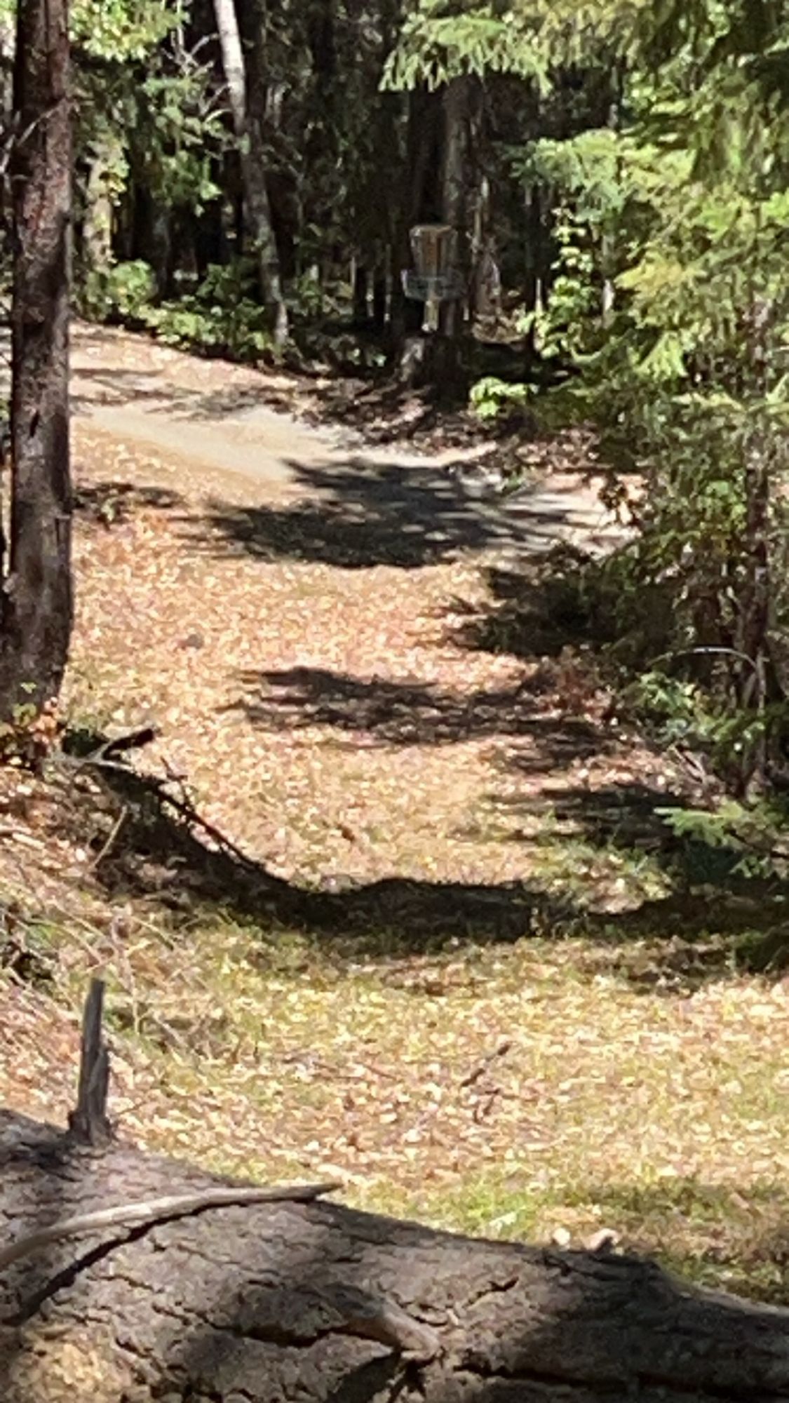 Looking downhill on the fairway hole 15
