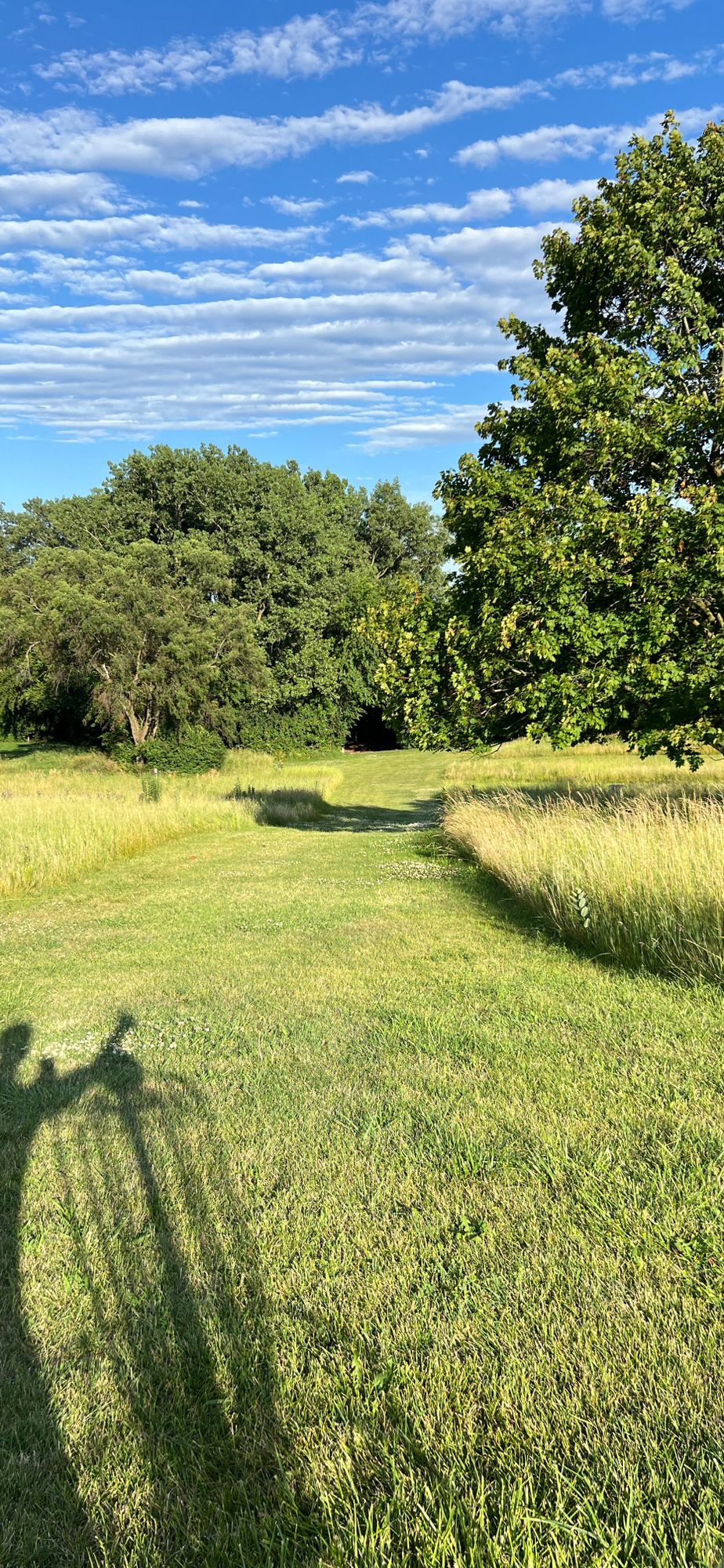 View from pin at Hole 9 facing Tee Box - June 2024