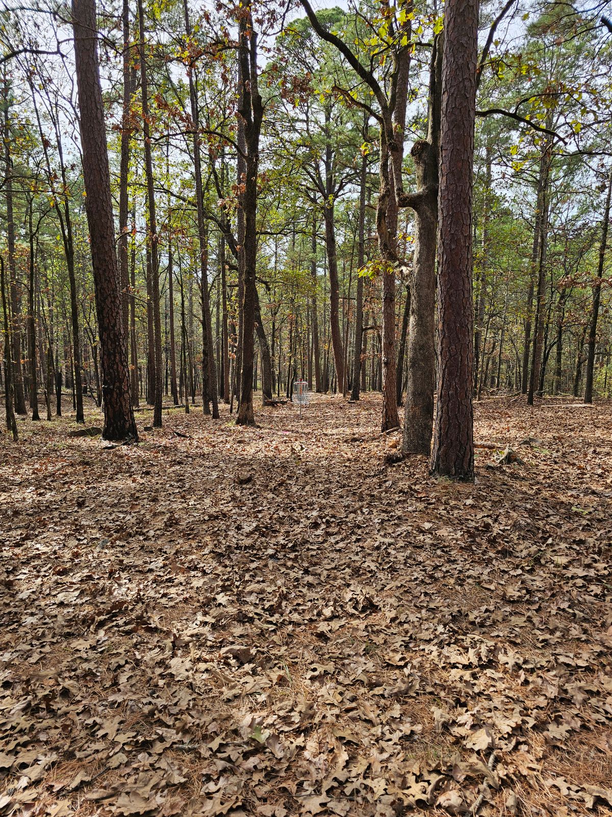 Hole 6