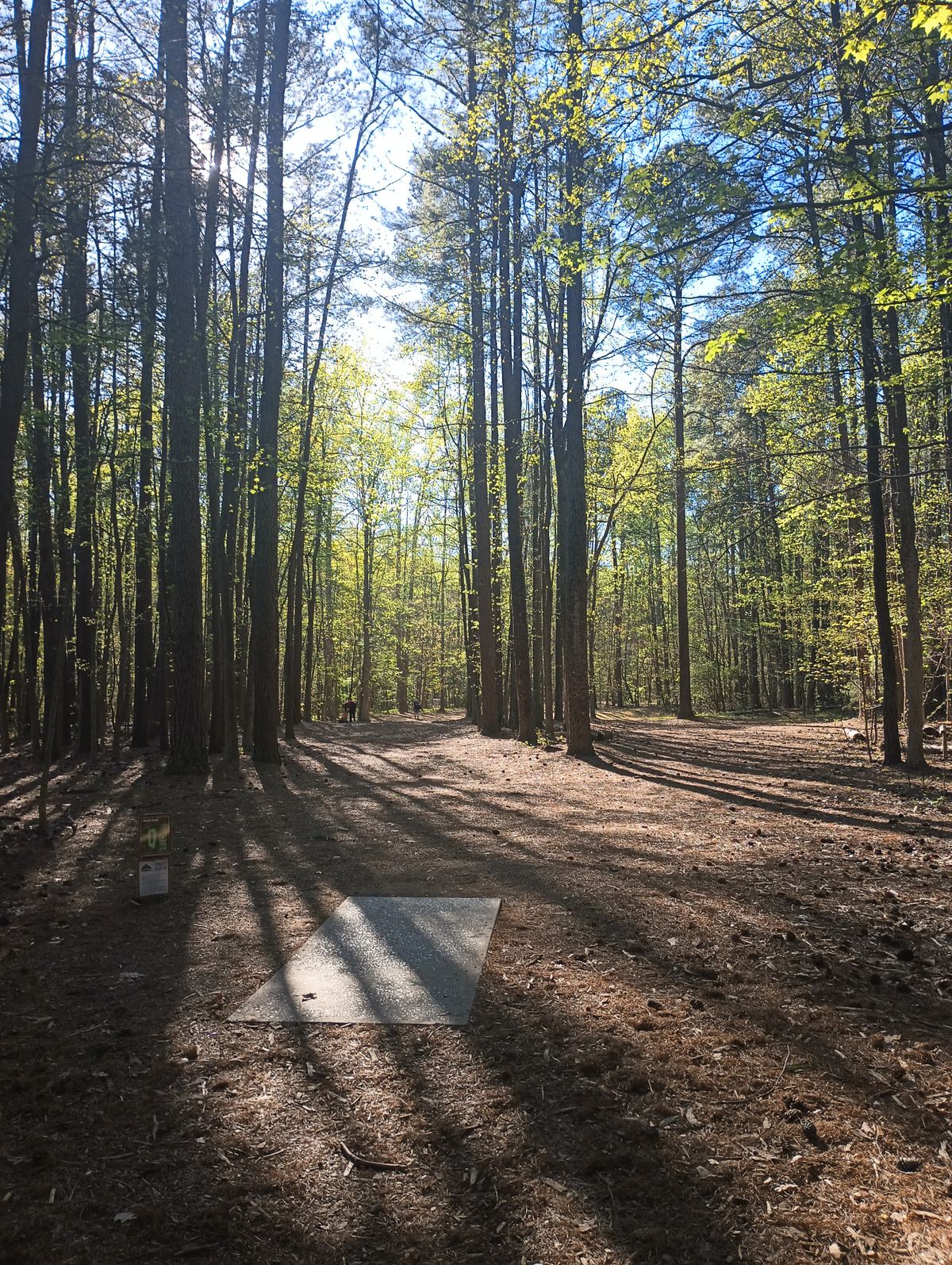 HOLE 1