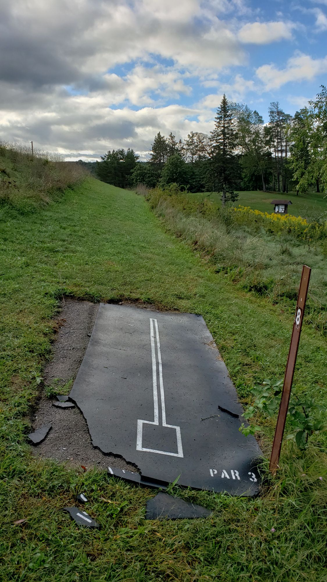 Hole 8 tee