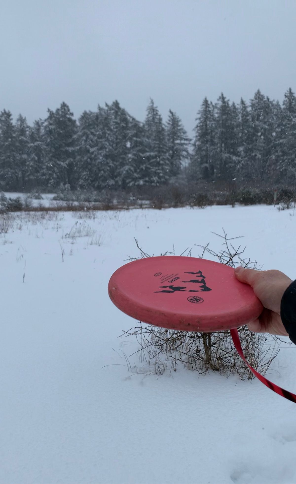 A rare snowy day on Hole #2.