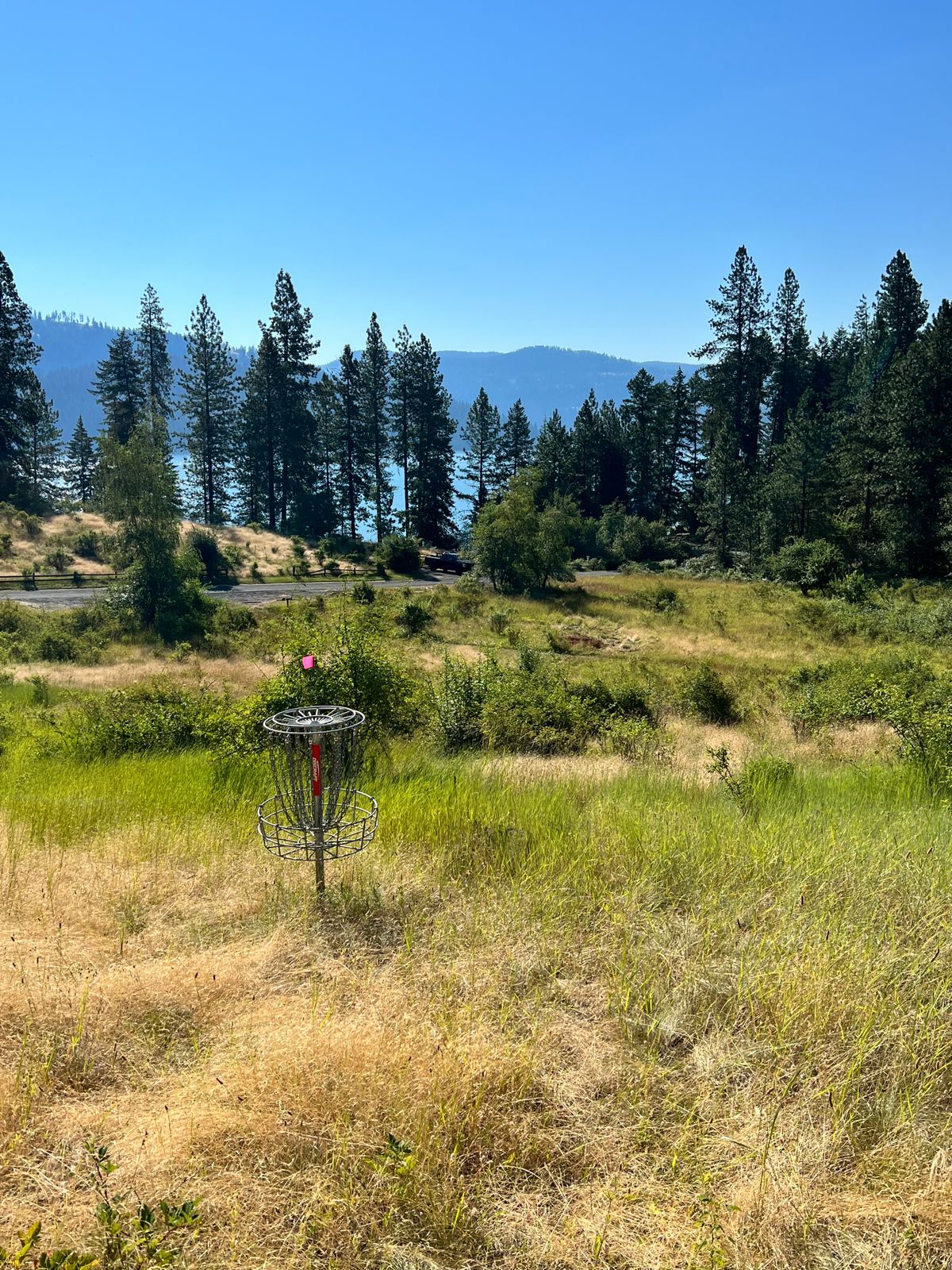 Hole 6 green