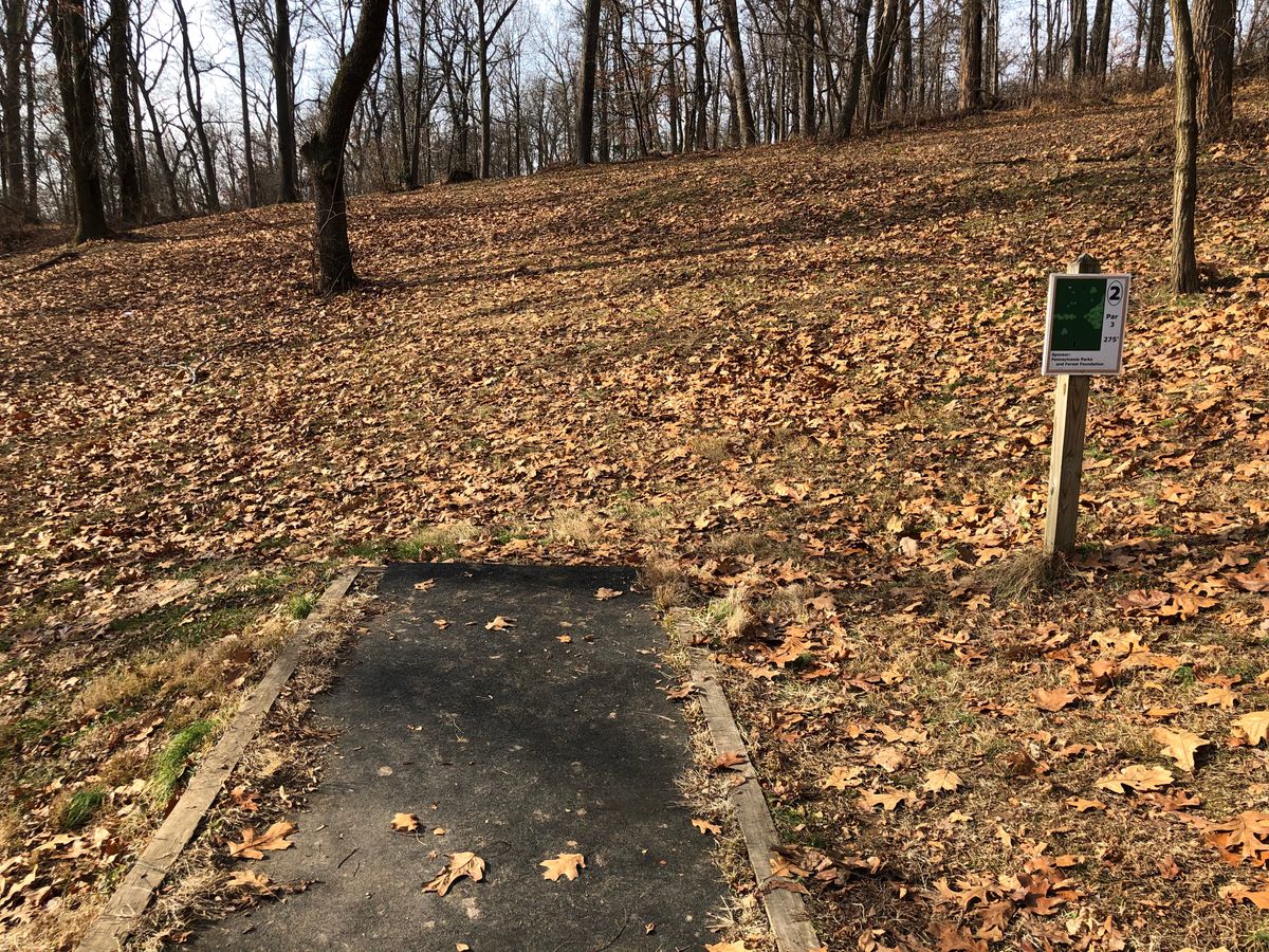 Hole 2 Tee Pad