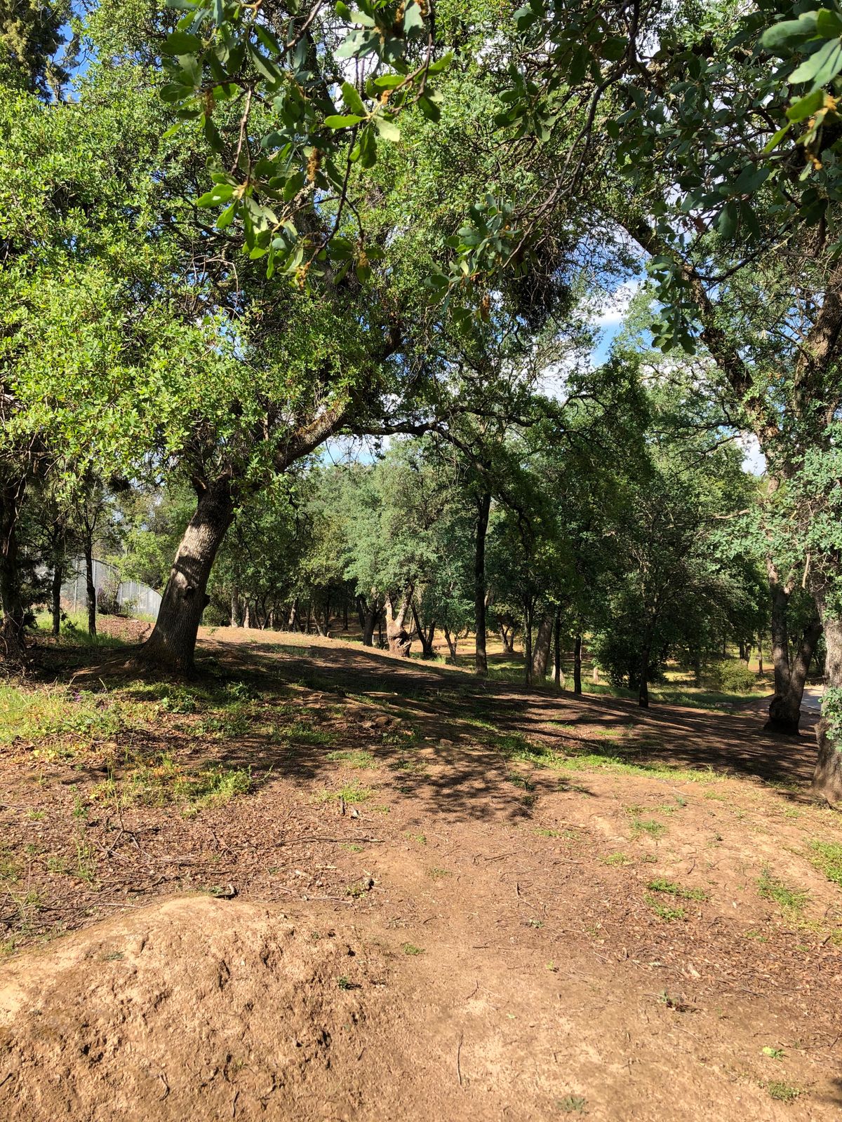 Hole 1 Scorpions tail