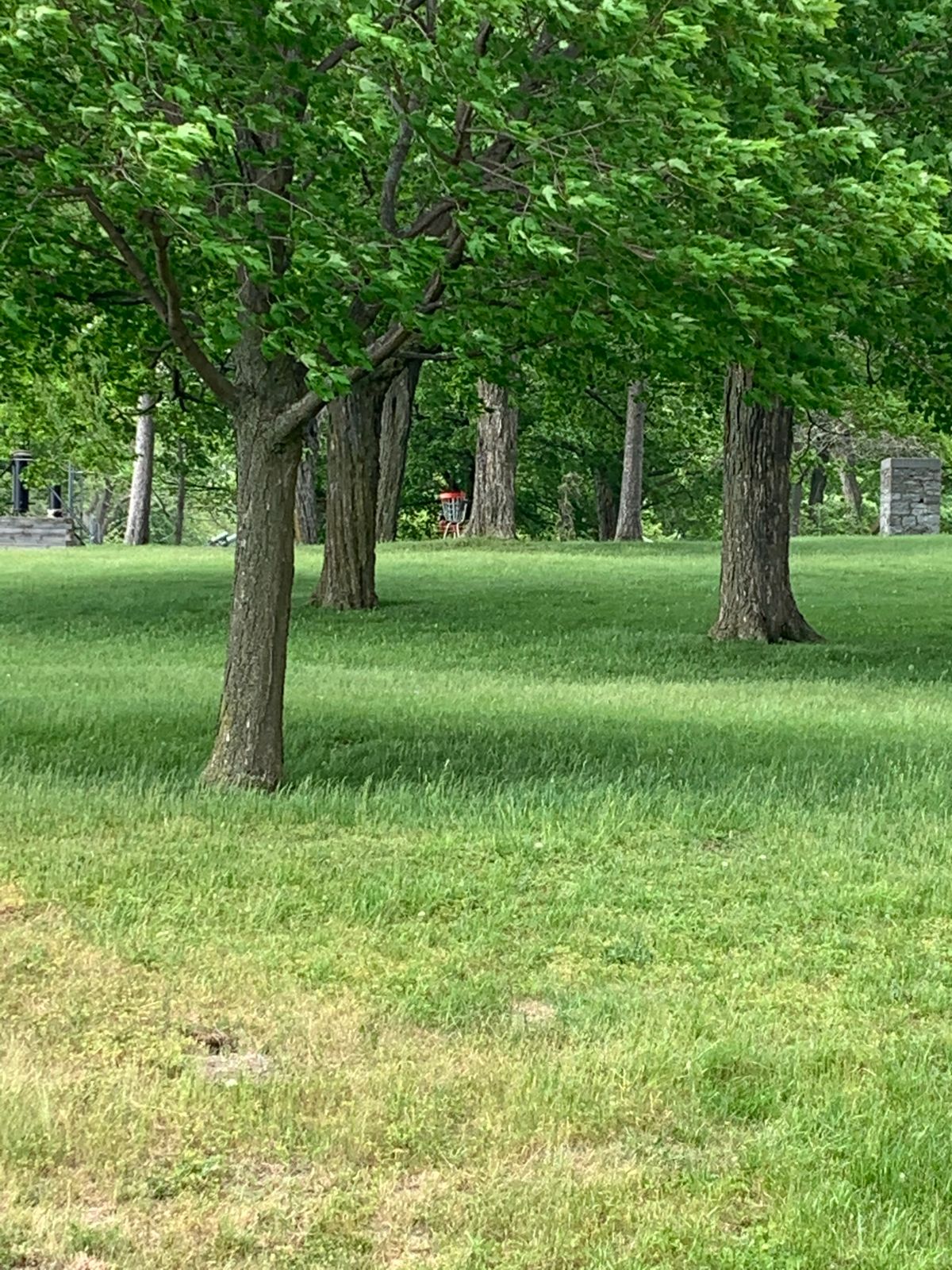 Hole 6 fairway and basket