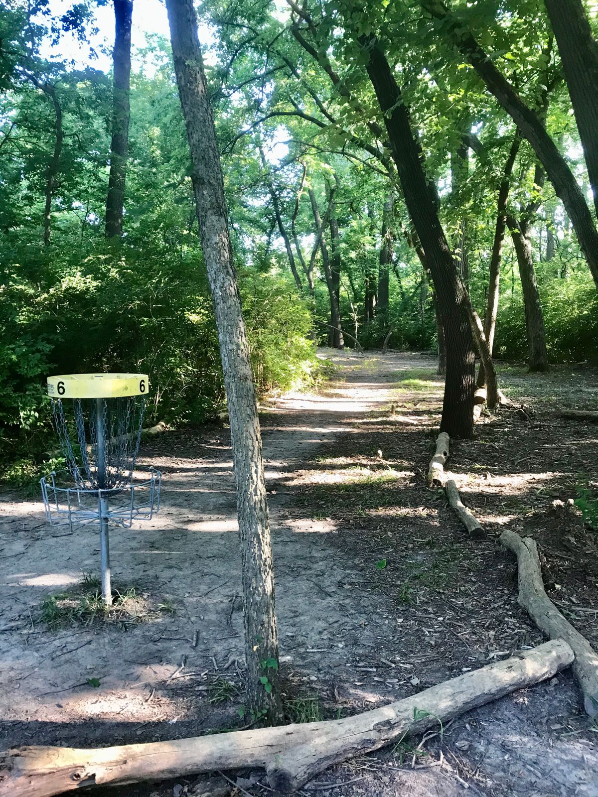 Hole 6 Basket to Tee (B)