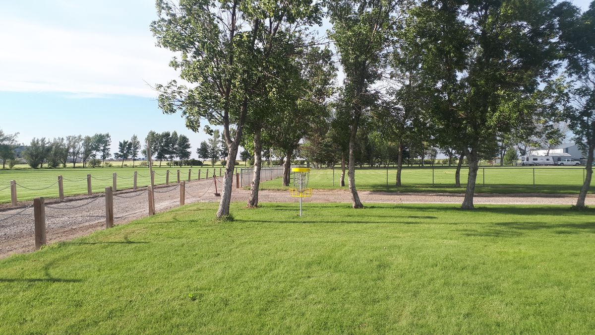 Hole 4 basket.