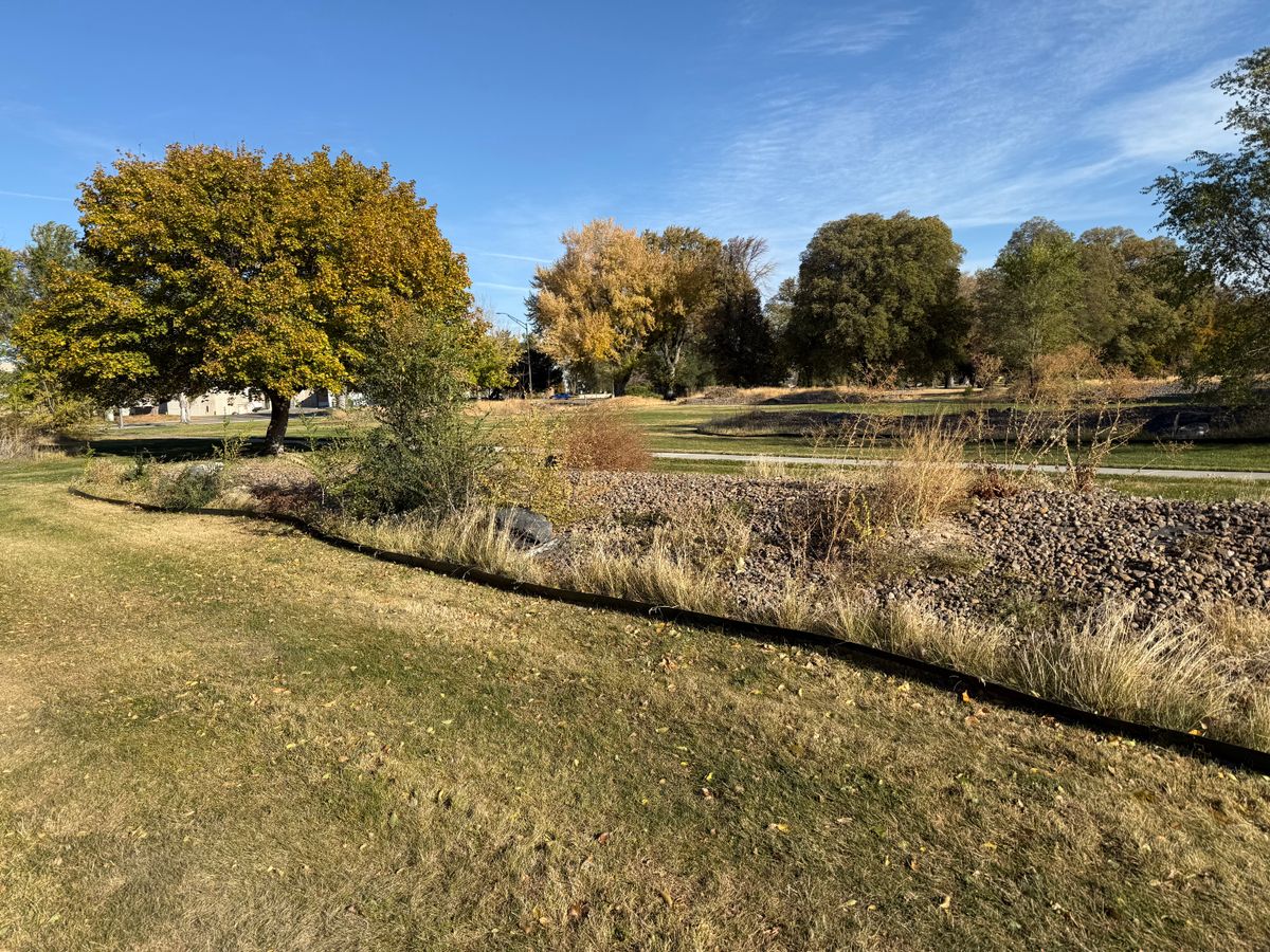 Hole 2 fairway