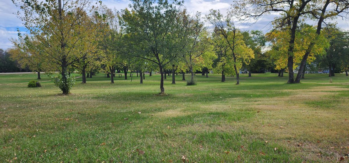 Course views 