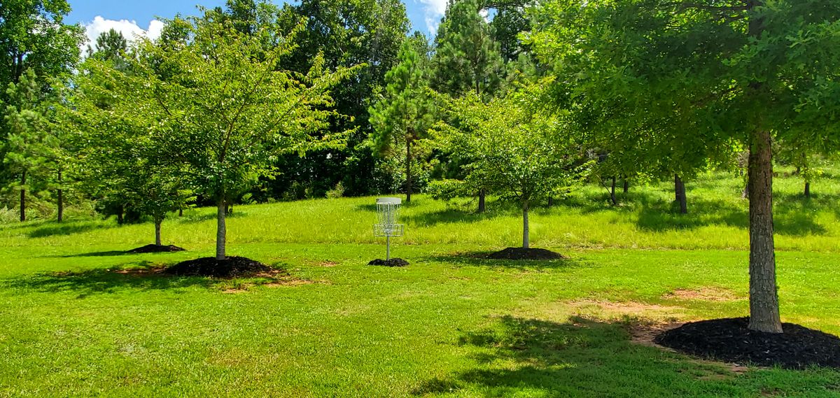 Hole 3