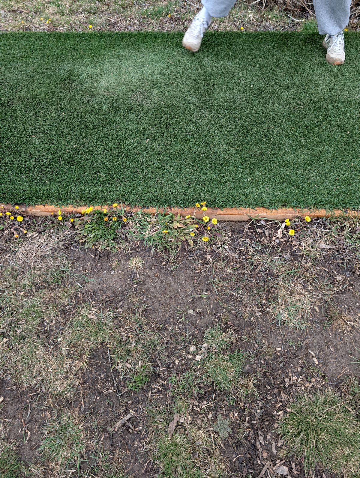 Little flowers already growing beside the tee.