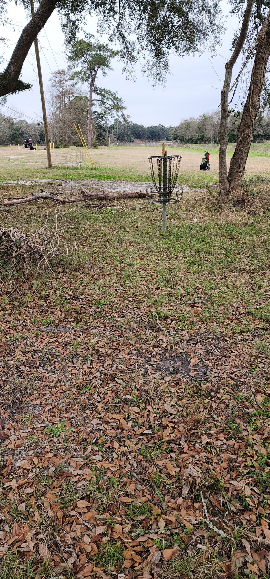 Hole 5