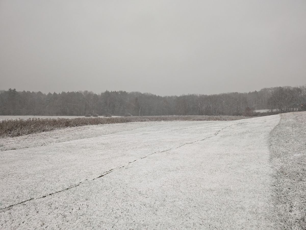 Looking back at the fairway of hole 2