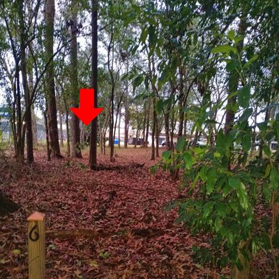 Hole #6 Short (Red)