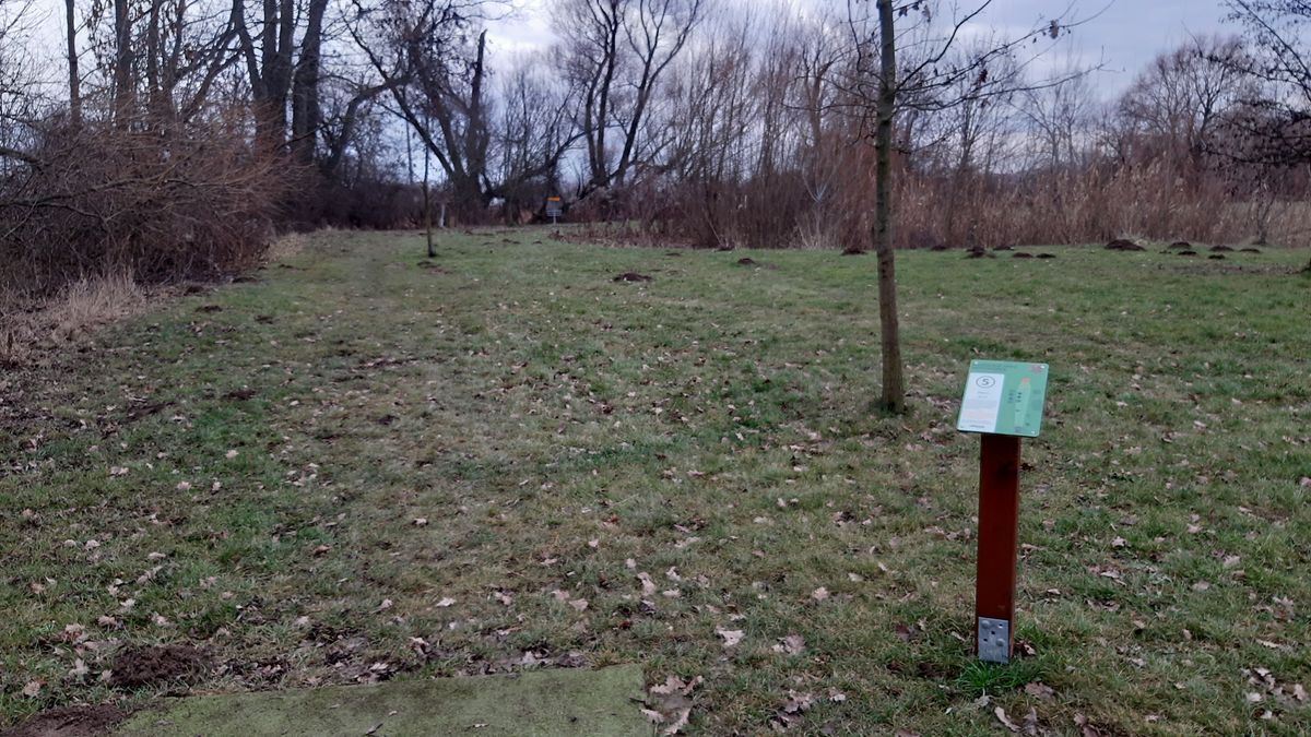 Jamka č. 5