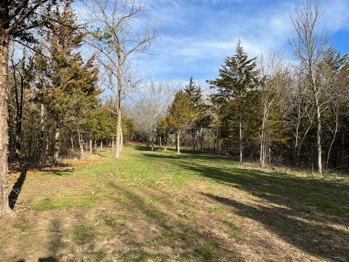 Hole 9 fairway looking back to tee
