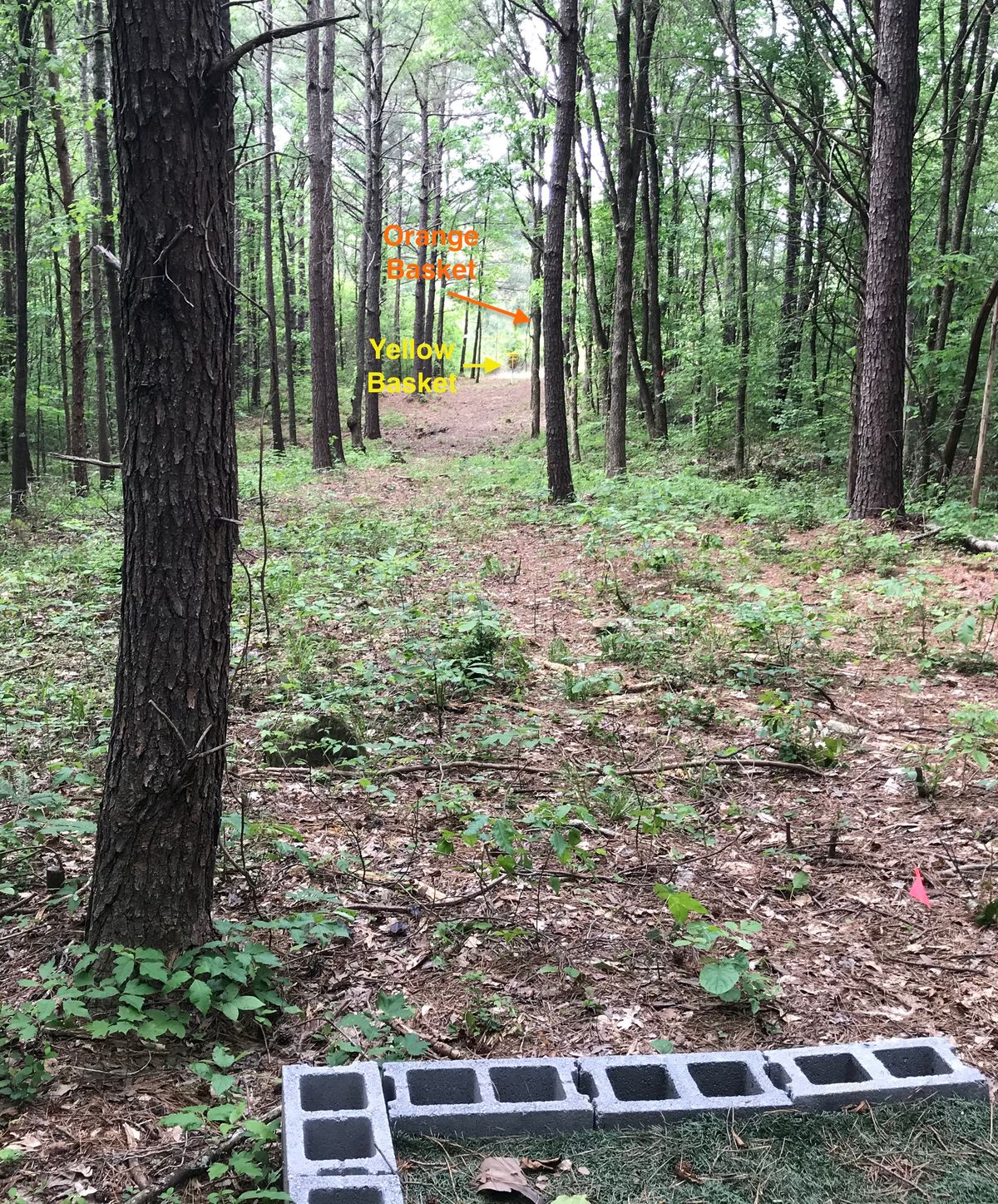 Hole 8 red tee