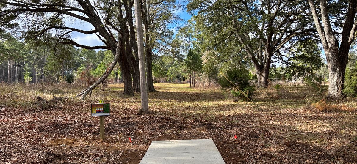 Tee 14