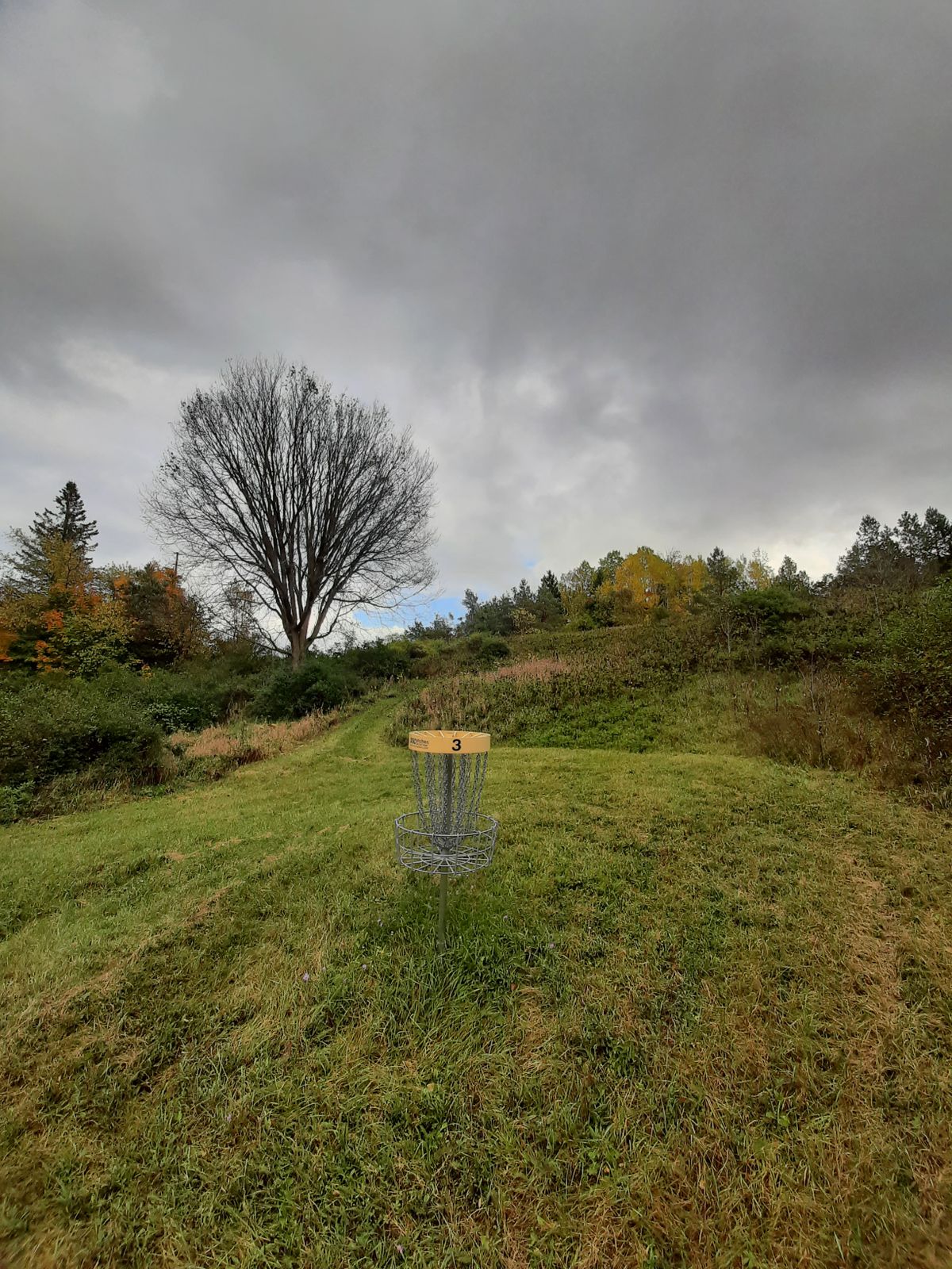Hole 3 looking back from basket