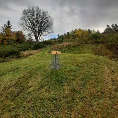 Hole 3 looking back from basket