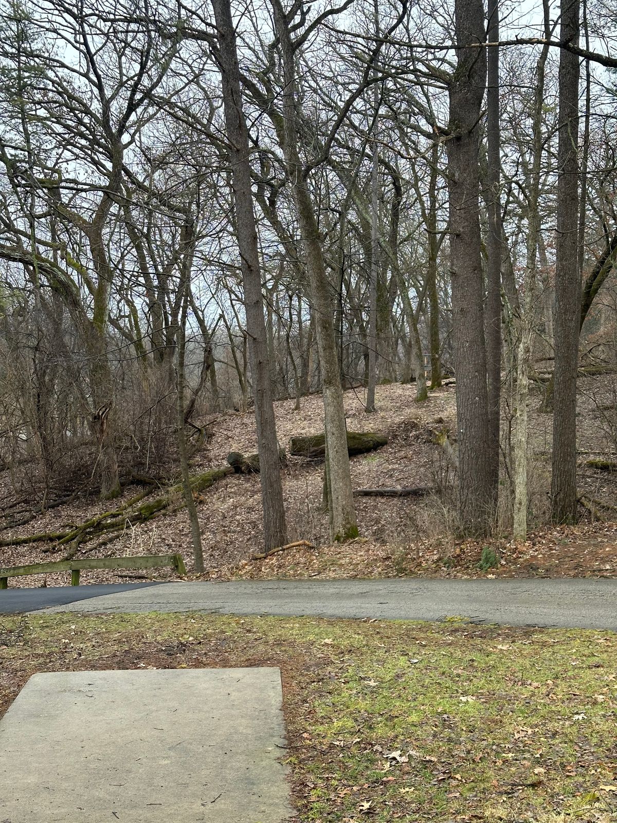 Hole #4 over the road and up the hill