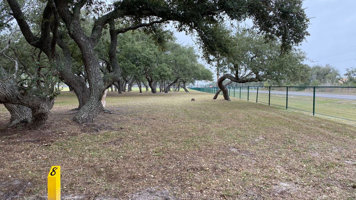 Hole 8