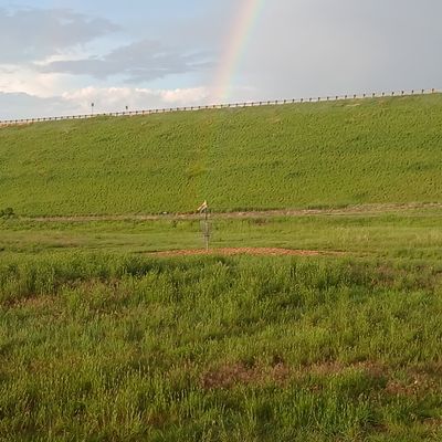 Treasure at the end of the rainbow