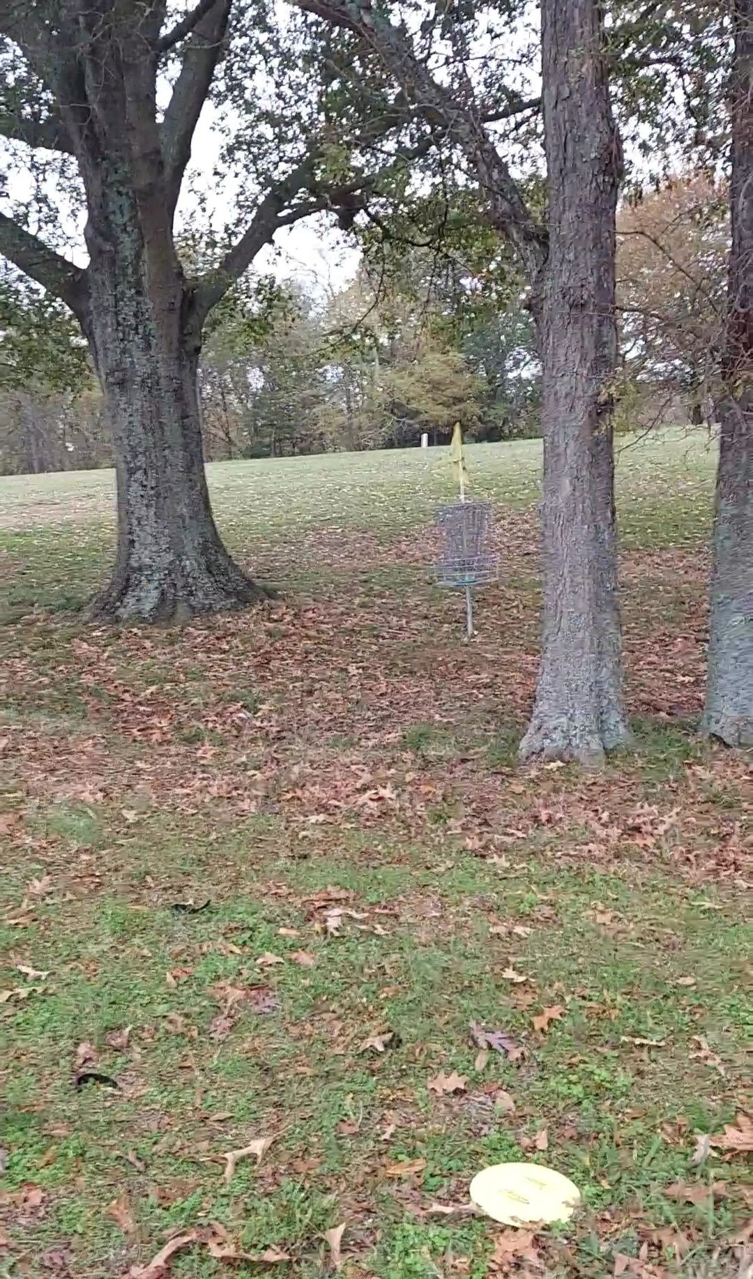 14 birdie