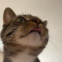 User avatar image