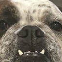 User avatar image