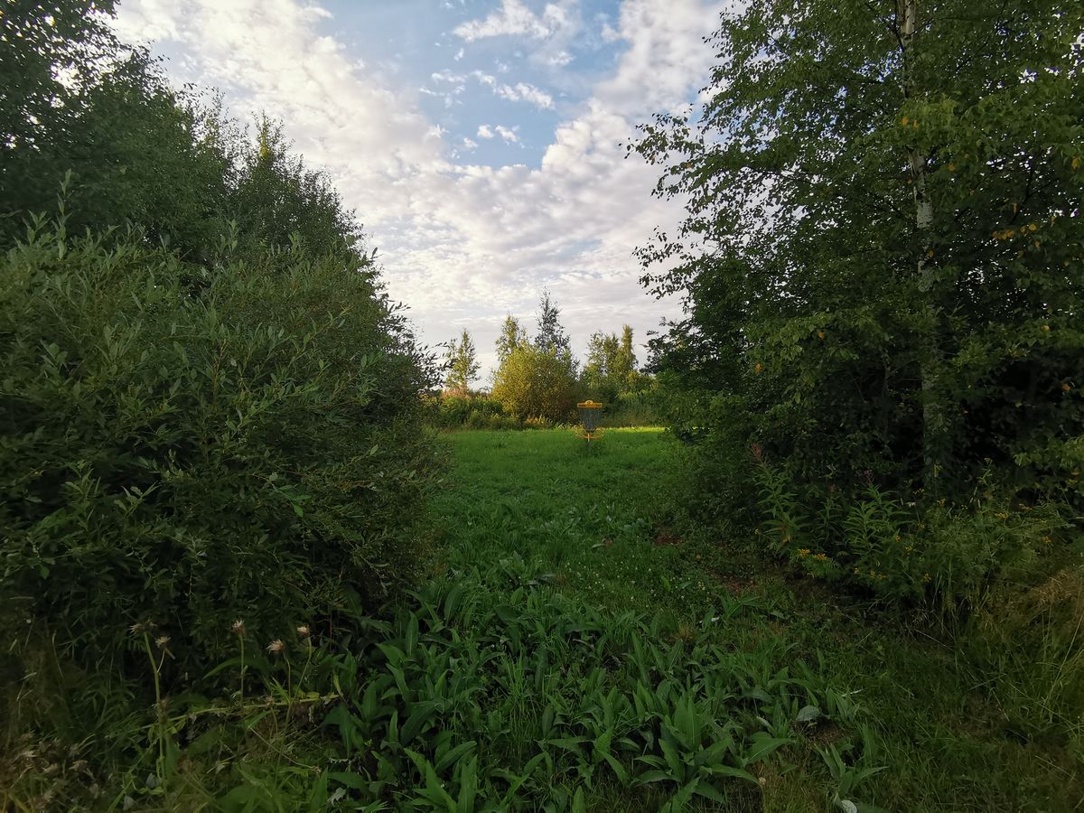 Väylä 9 kori