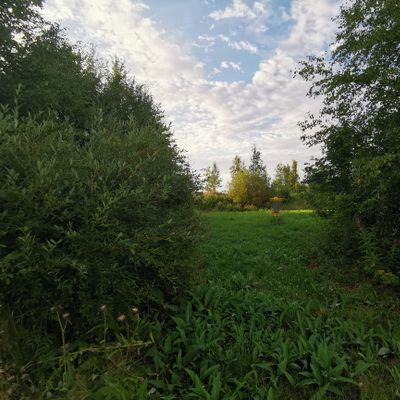 Väylä 9 kori