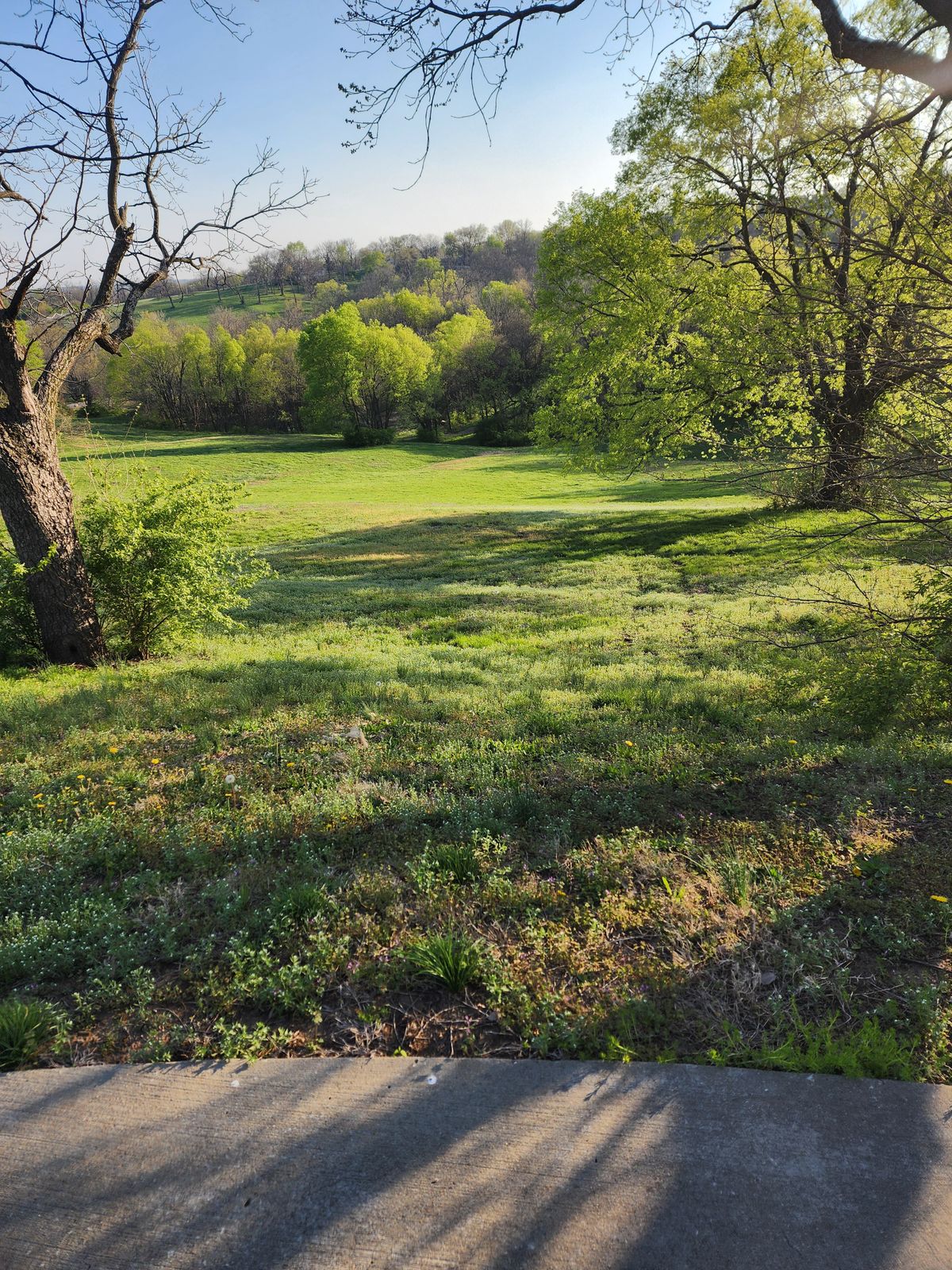 Hole 11 long straight downhill par 3 tucked behind the trees
