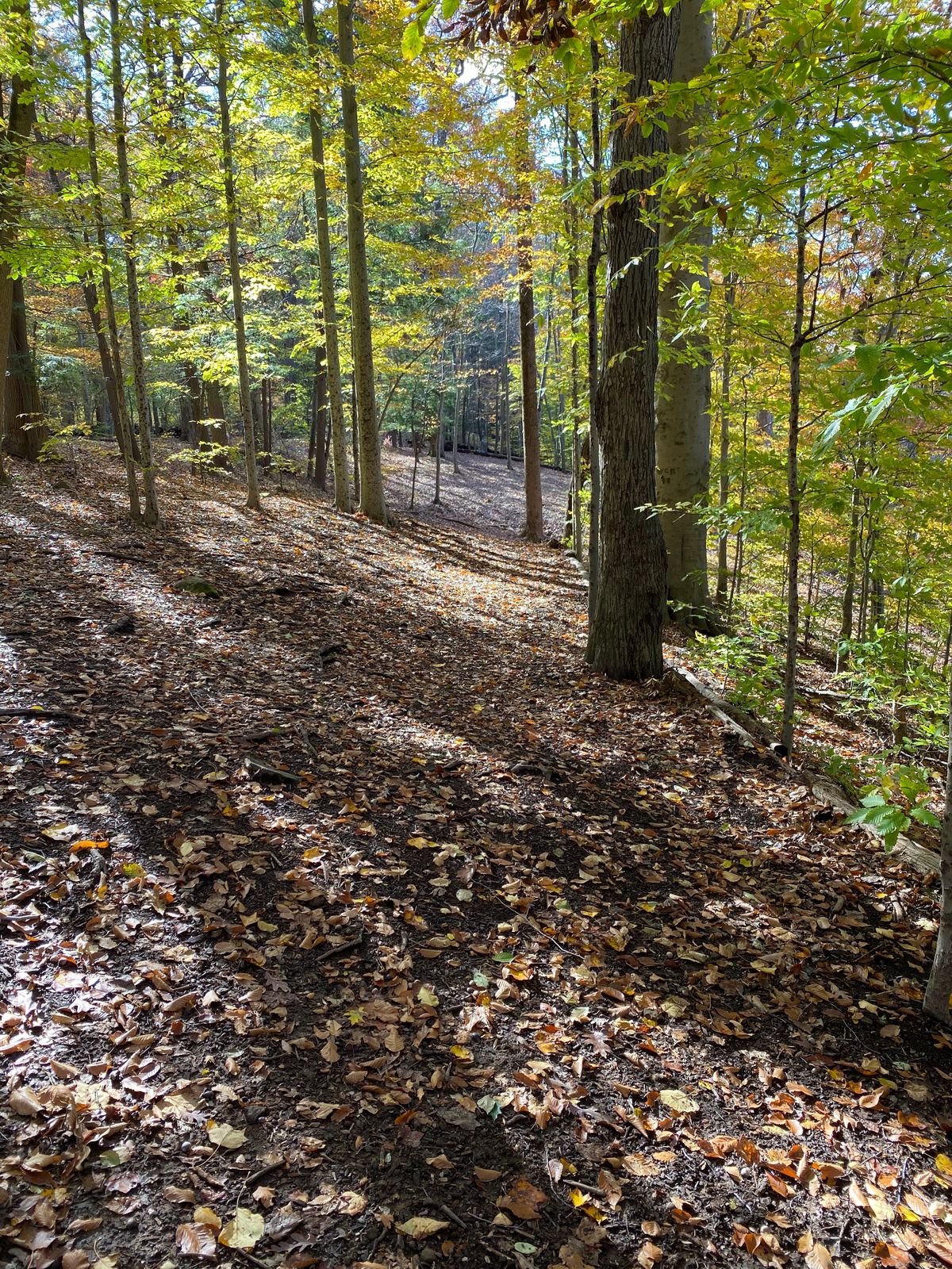 Hole 4 East