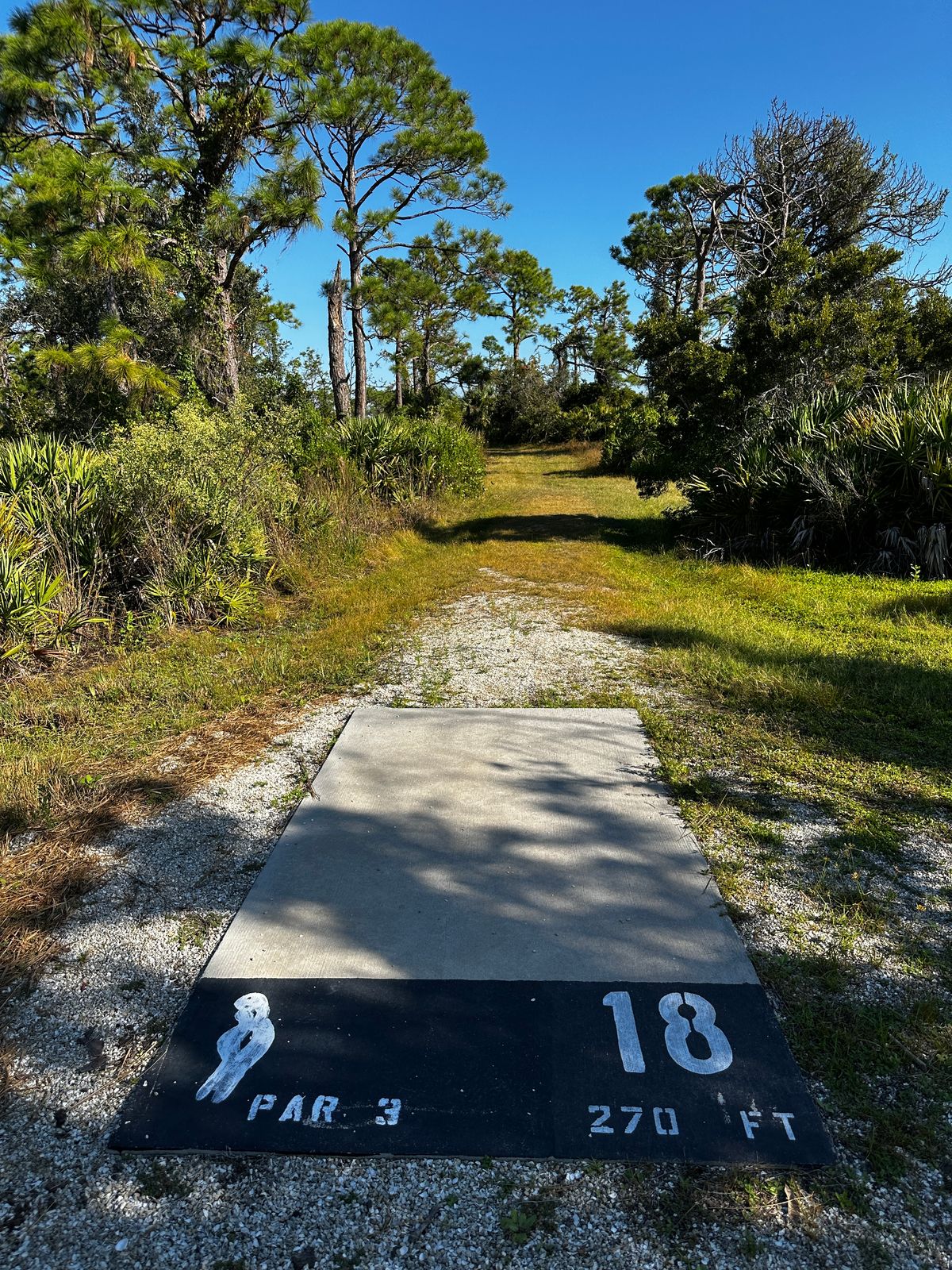 Current tee location 10/2025. 230 ft to basket from front of tee