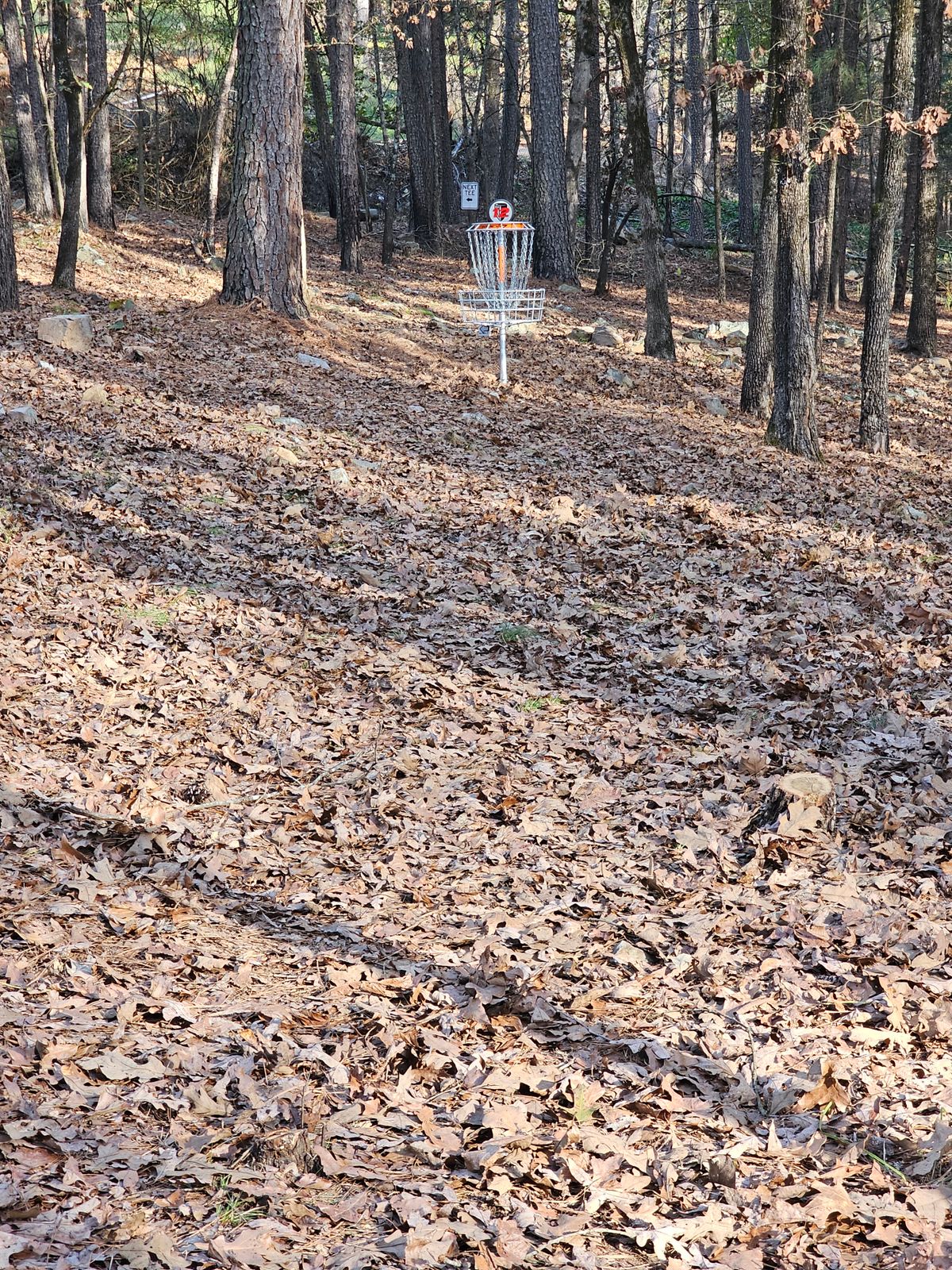 Hole 12