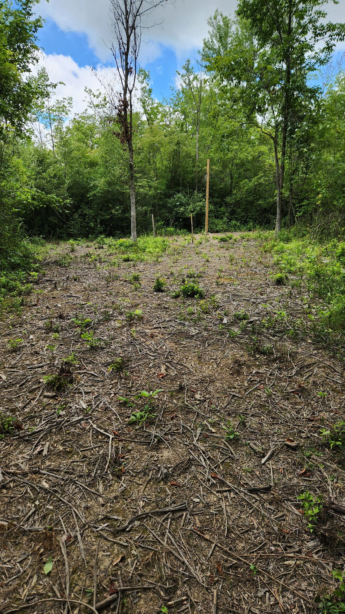 Hole 3 tee pad