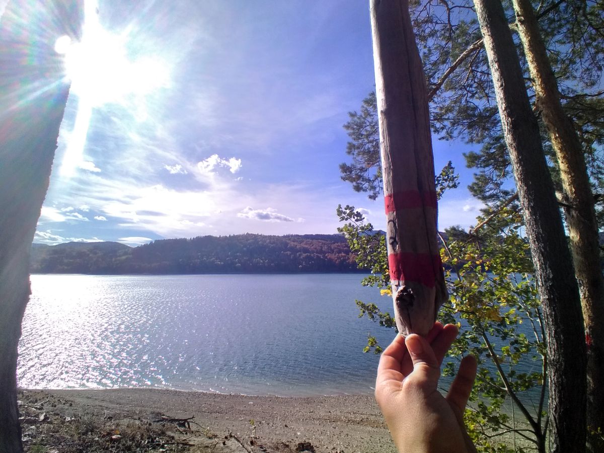 Hole 2 tone pole