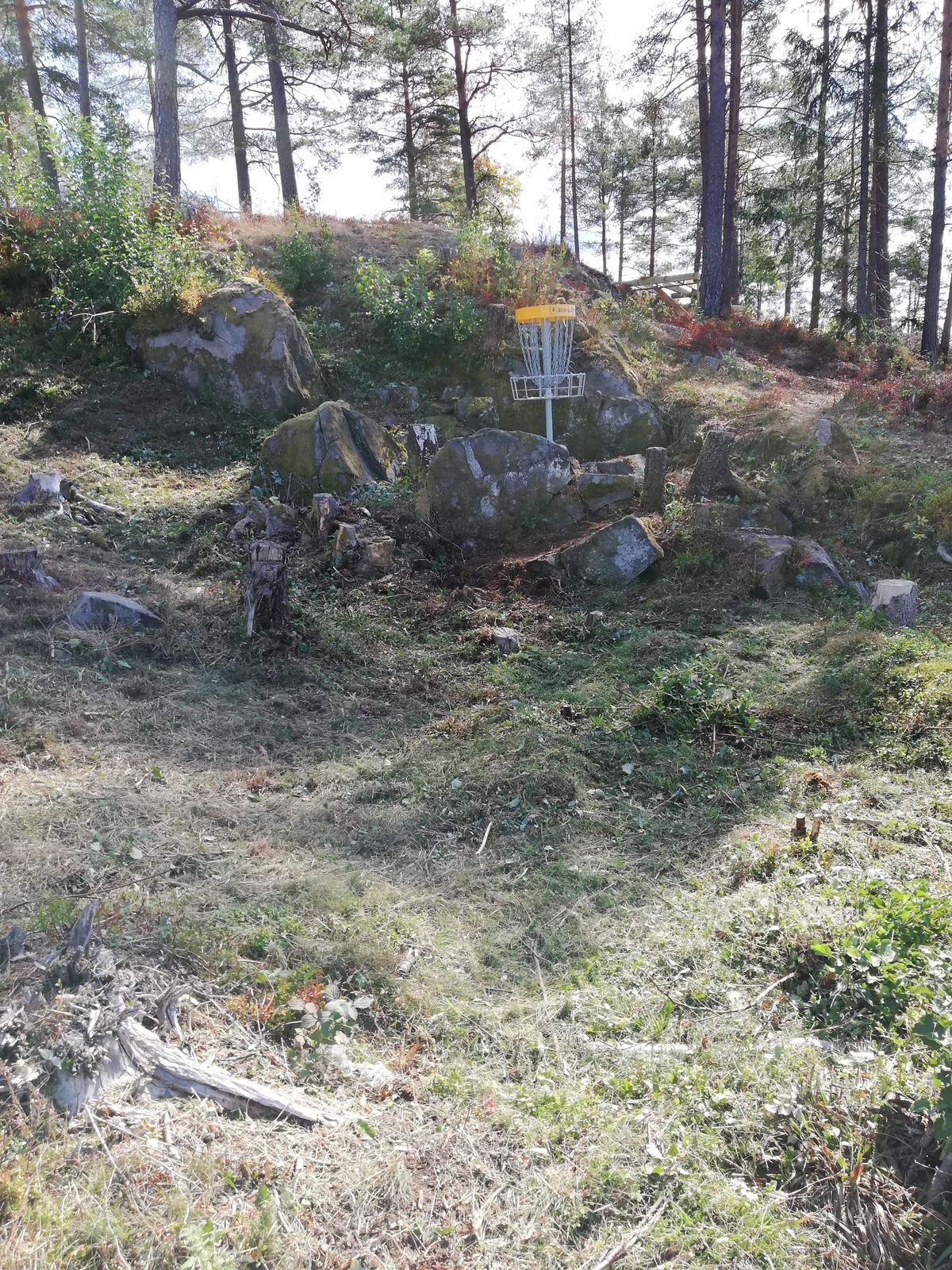 Hole 6.