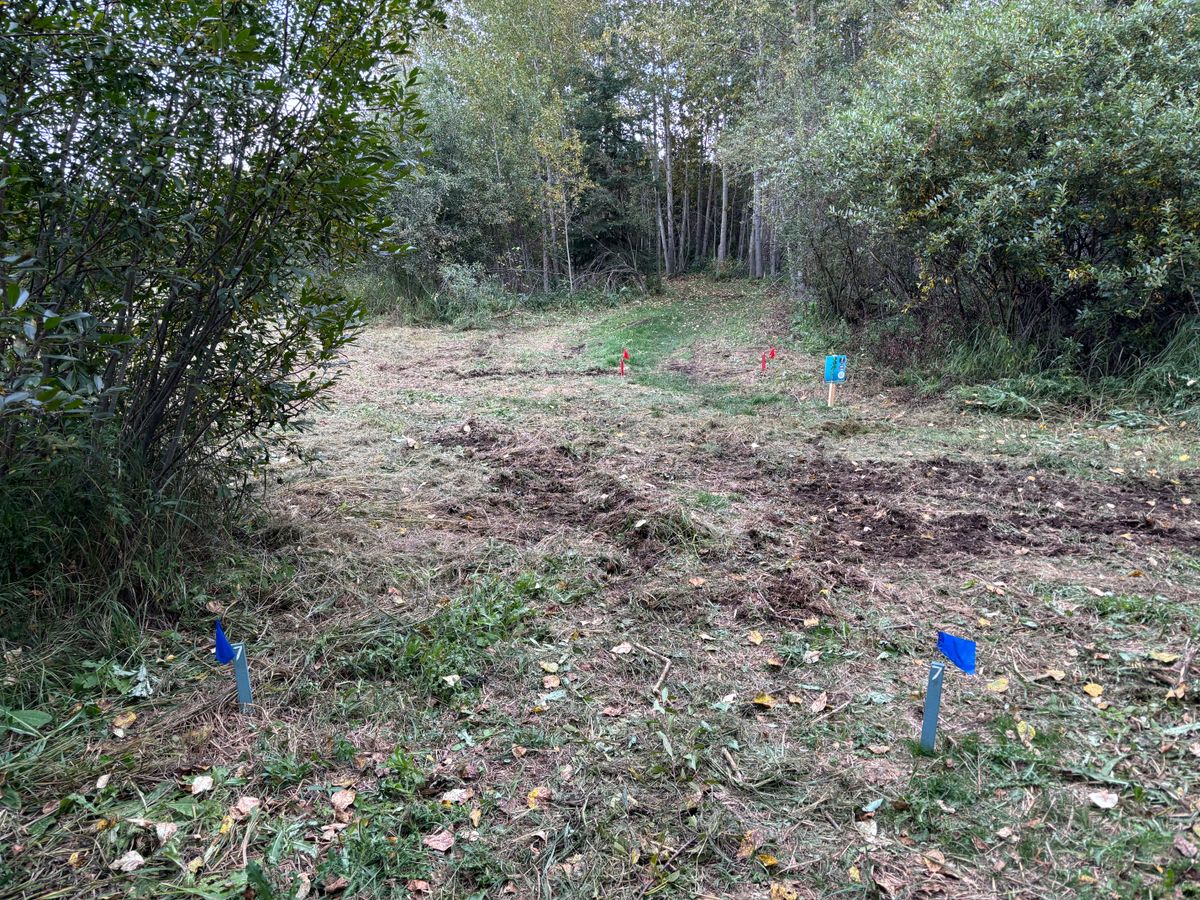 Hole 7 Blues