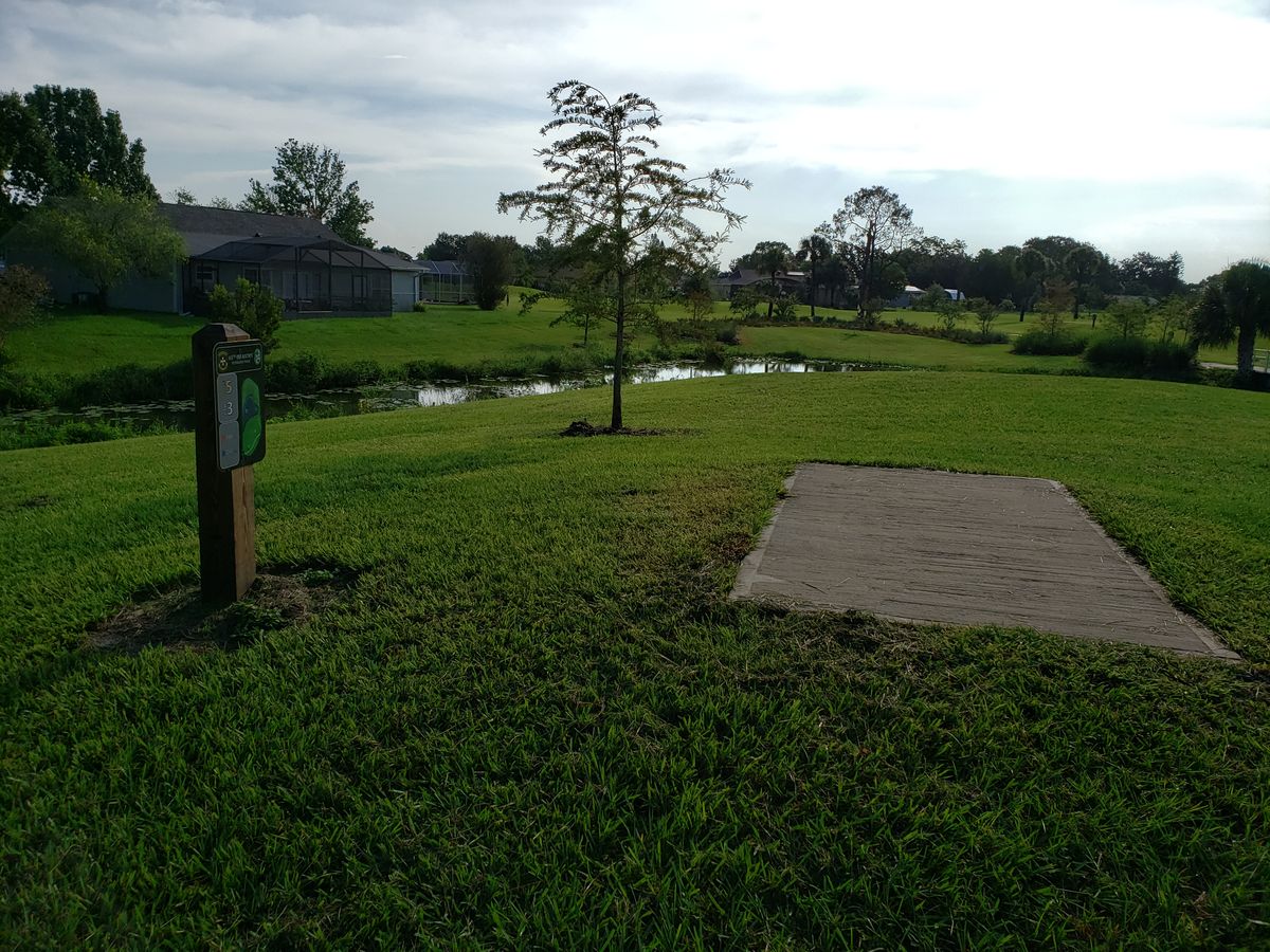 #5 Long Tee Box view.