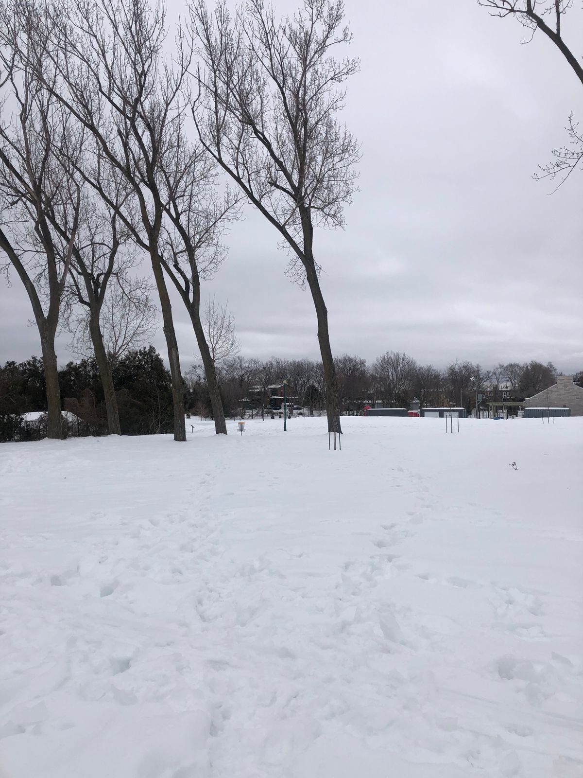 Hole #3