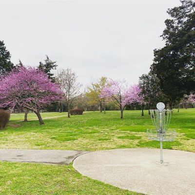 Hole 8 basket
