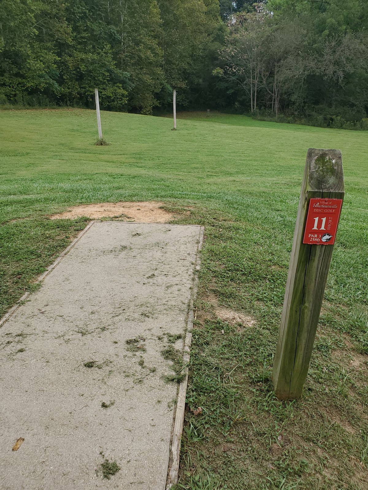 Birdie time